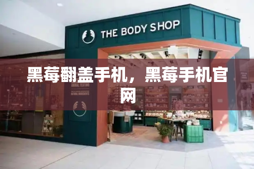 黑莓翻盖手机，黑莓手机官网-第1张图片-星选测评