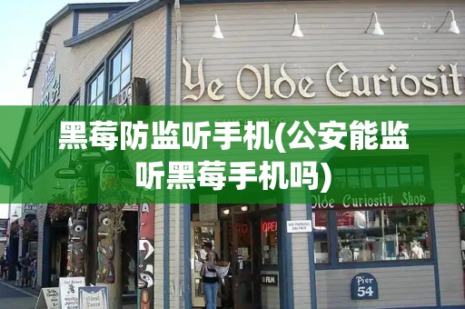 黑莓防监听手机(公安能监听黑莓手机吗)