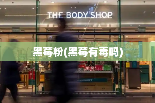 黑莓粉(黑莓有毒吗)-第1张图片-星选测评