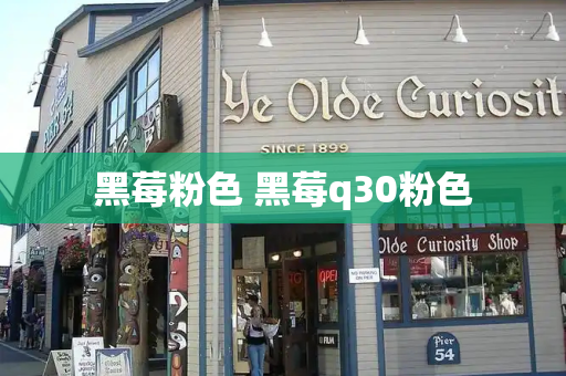 黑莓粉色 黑莓q30粉色