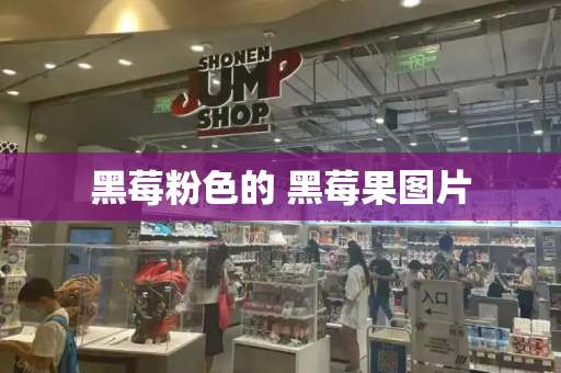 黑莓粉色的 黑莓果图片-第1张图片-星选测评
