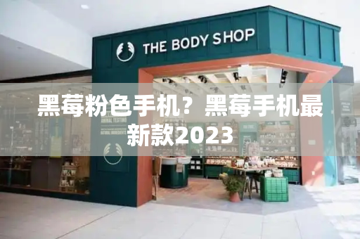 黑莓粉色手机？黑莓手机最新款2023-第1张图片-星选测评