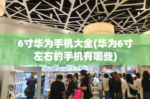 6寸华为手机大全(华为6寸左右的手机有哪些)-第1张图片-星选测评