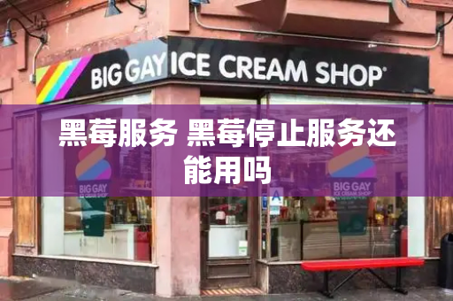 黑莓服务 黑莓停止服务还能用吗-第1张图片-星选测评