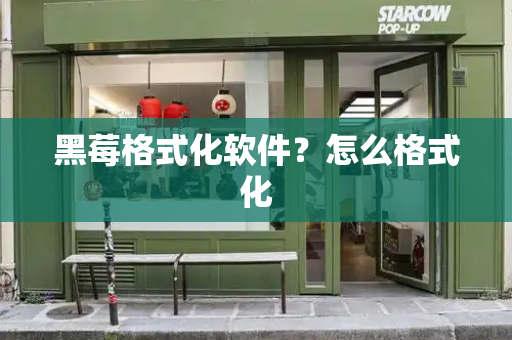 黑莓格式化软件？怎么格式化