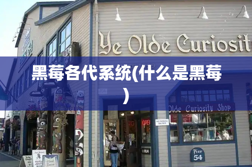 黑莓各代系统(什么是黑莓)