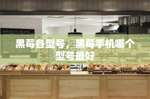 黑莓各型号，黑莓手机哪个型号最好-第1张图片-星选测评