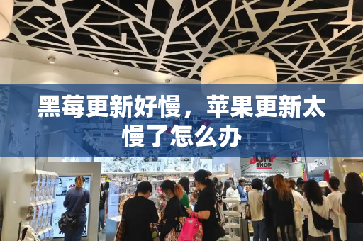 黑莓更新好慢，苹果更新太慢了怎么办-第1张图片-星选测评