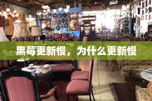 黑莓更新慢，为什么更新慢-第1张图片-星选测评