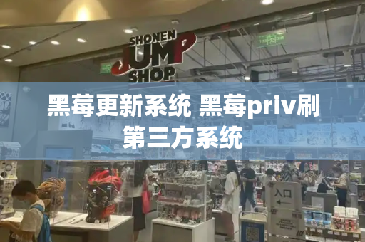 黑莓更新系统 黑莓priv刷第三方系统-第1张图片-星选测评