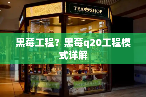 黑莓工程？黑莓q20工程模式详解