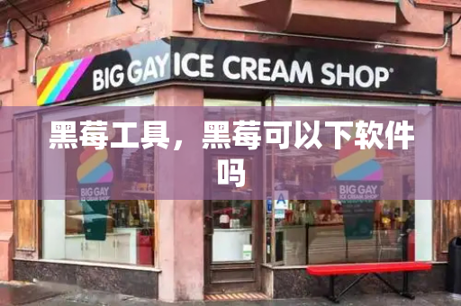 黑莓工具，黑莓可以下软件吗