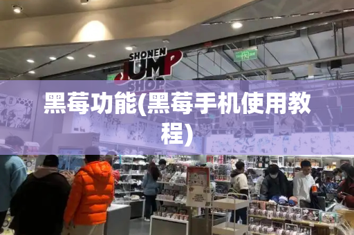 黑莓功能(黑莓手机使用教程)-第1张图片-星选测评