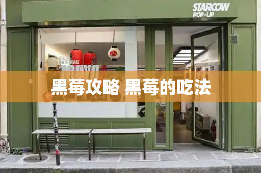 黑莓攻略 黑莓的吃法