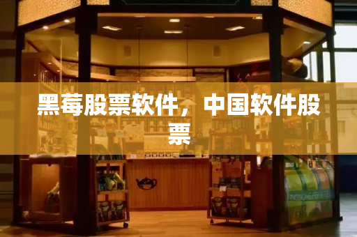 黑莓股票软件，中国软件股票