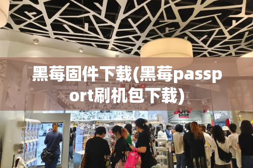 黑莓固件下载(黑莓passport刷机包下载)