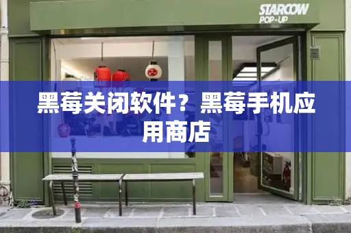 黑莓关闭软件？黑莓手机应用商店