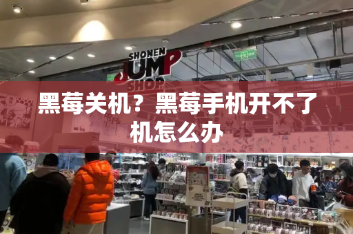 黑莓关机？黑莓手机开不了机怎么办-第1张图片-星选测评