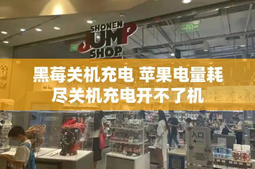 黑莓关机充电 苹果电量耗尽关机充电开不了机