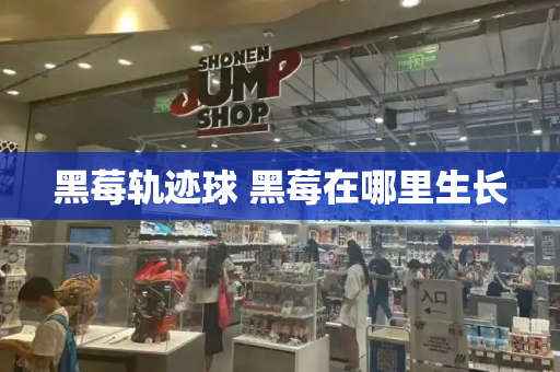 黑莓轨迹球 黑莓在哪里生长