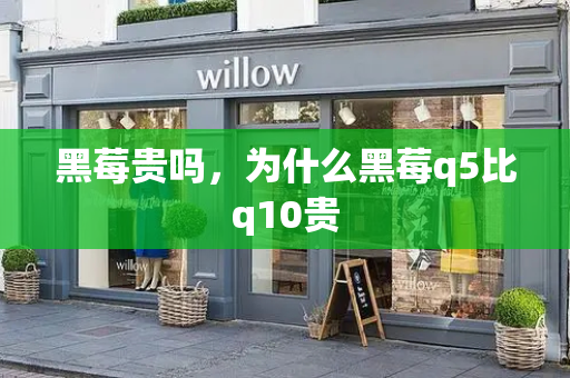 黑莓贵吗，为什么黑莓q5比q10贵