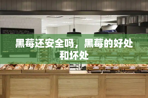 黑莓还安全吗，黑莓的好处和坏处