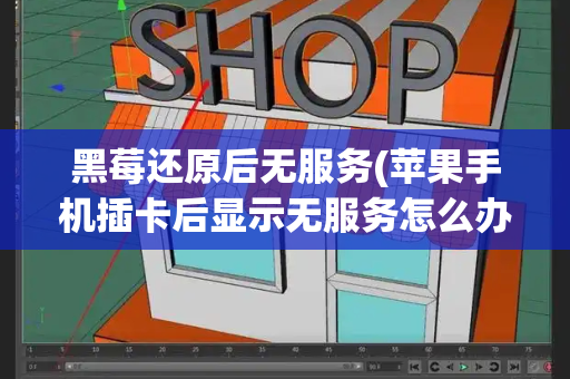 黑莓还原后无服务(苹果手机插卡后显示无服务怎么办)