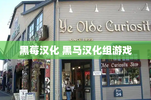 黑莓汉化 黑马汉化组游戏-第1张图片-星选测评