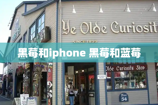 黑莓和iphone 黑莓和蓝莓-第1张图片-星选测评