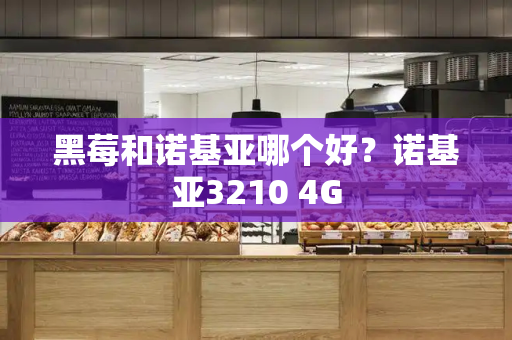 黑莓和诺基亚哪个好？诺基亚3210 4G
