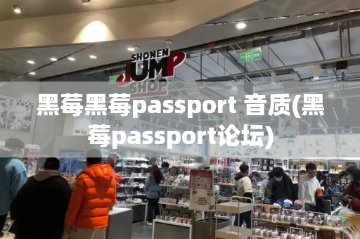 黑莓黑莓passport 音质(黑莓passport论坛)