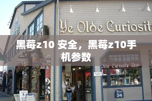 黑莓z10 安全，黑莓z10手机参数-第1张图片-星选测评