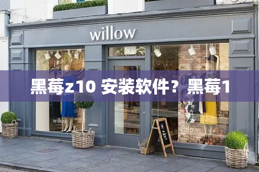 黑莓z10 安装软件？黑莓10-第1张图片-星选测评