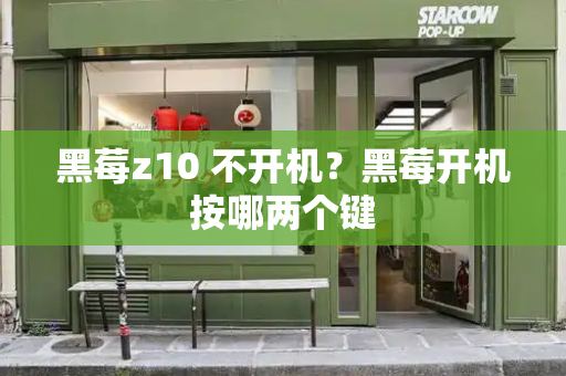 黑莓z10 不开机？黑莓开机按哪两个键-第1张图片-星选测评