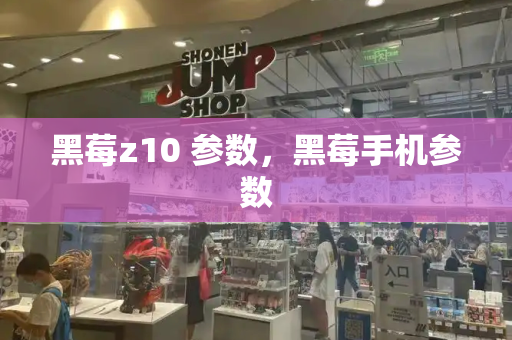 黑莓z10 参数，黑莓手机参数