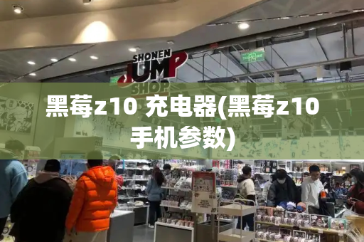 黑莓z10 充电器(黑莓z10手机参数)