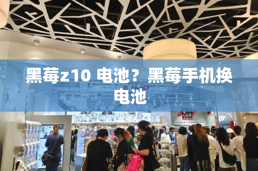 黑莓z10 电池？黑莓手机换电池-第1张图片-星选测评