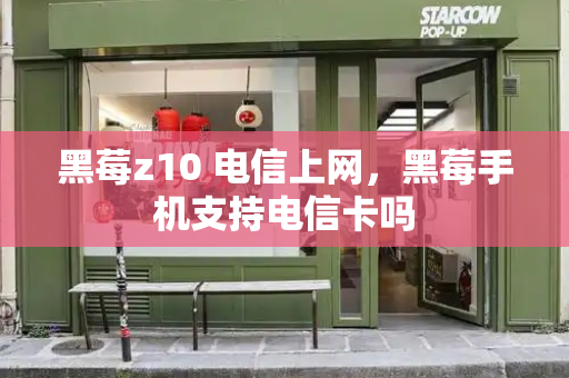 黑莓z10 电信上网，黑莓手机支持电信卡吗