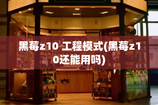 黑莓z10 工程模式(黑莓z10还能用吗)-第1张图片-星选测评