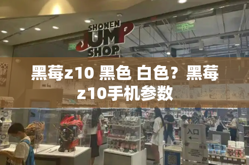 黑莓z10 黑色 白色？黑莓z10手机参数