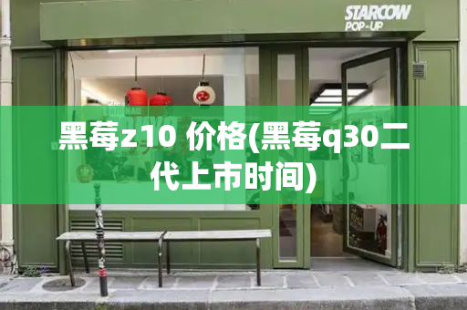 黑莓z10 价格(黑莓q30二代上市时间)