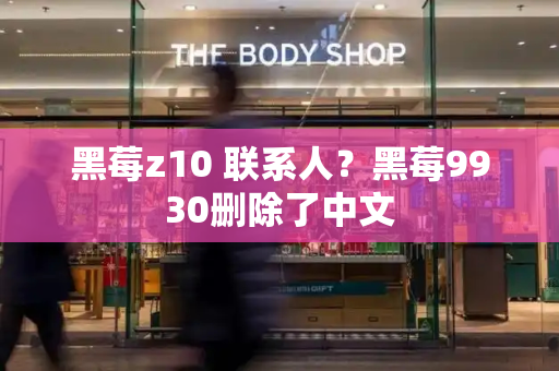 黑莓z10 联系人？黑莓9930删除了中文-第1张图片-星选测评