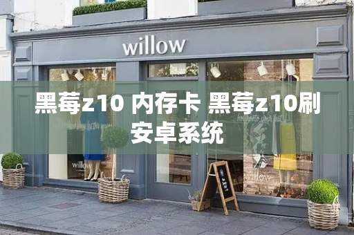 黑莓z10 内存卡 黑莓z10刷安卓系统