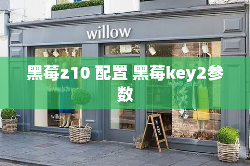 黑莓z10 配置 黑莓key2参数-第1张图片-星选测评