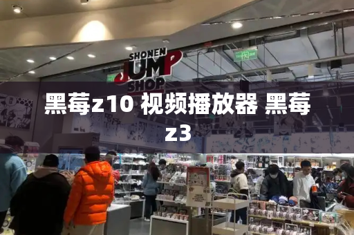 黑莓z10 视频播放器 黑莓z3-第1张图片-星选测评