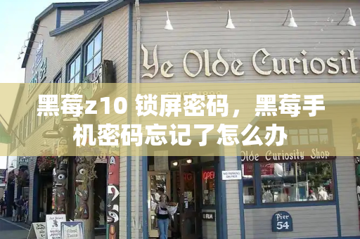 黑莓z10 锁屏密码，黑莓手机密码忘记了怎么办-第1张图片-星选测评