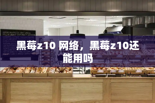 黑莓z10 网络，黑莓z10还能用吗-第1张图片-星选测评
