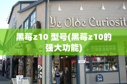 黑莓z10 型号(黑莓z10的强大功能)-第1张图片-星选测评