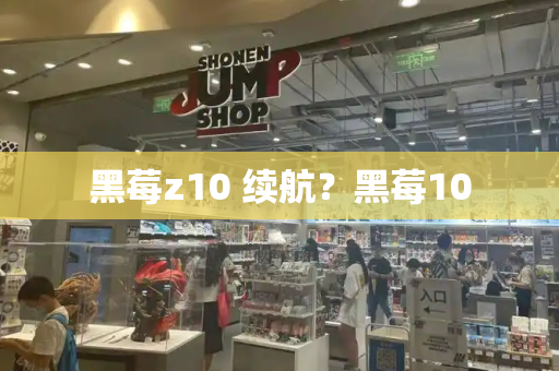黑莓z10 续航？黑莓10-第1张图片-星选测评