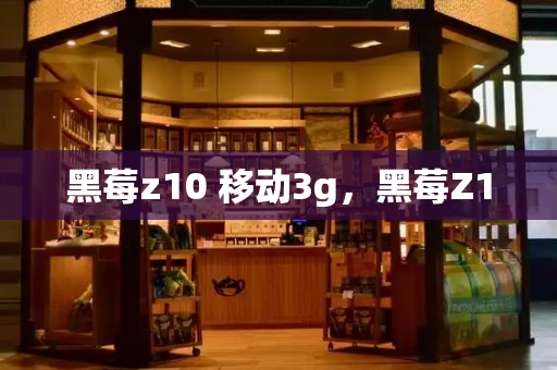 黑莓z10 移动3g，黑莓Z10
